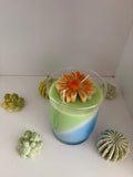 Orange Spring Daisy