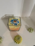 Blue Daisy Starlit Summer