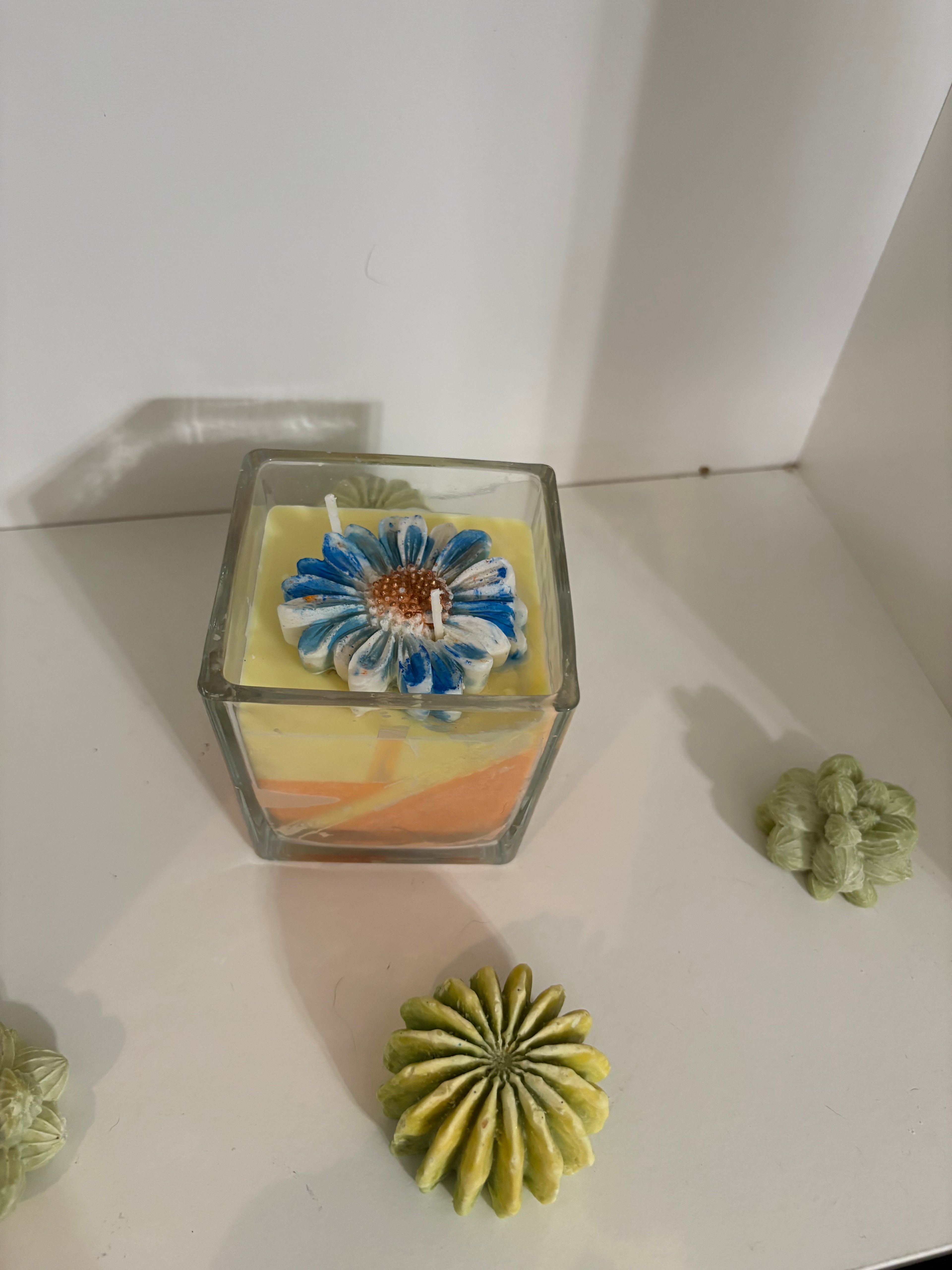 Blue Daisy Starlit Summer